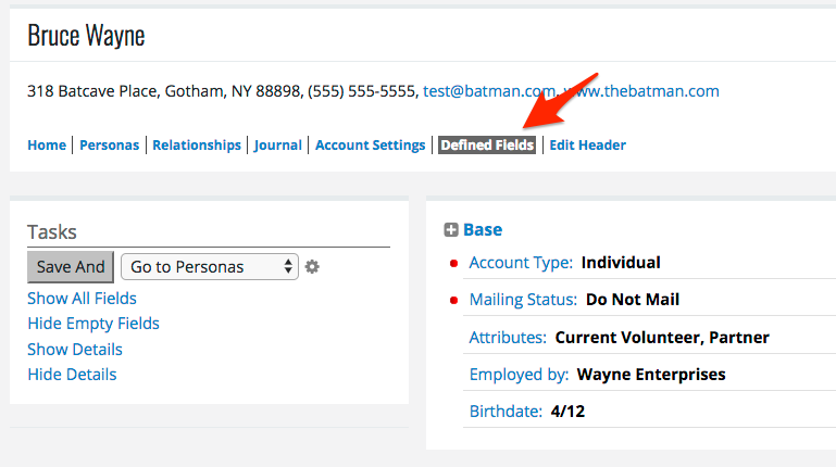 eTapestry account defined fields page